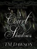 A Court Of Shadows 