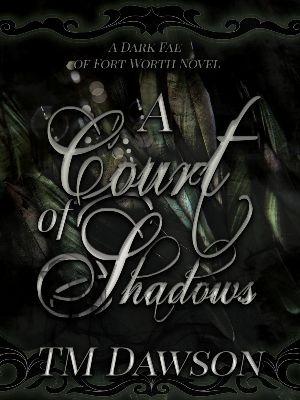 A Court Of Shadows 