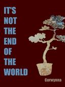 It's Not the End of the World 1