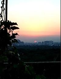 Ankur_93