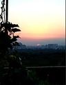 Ankur_93